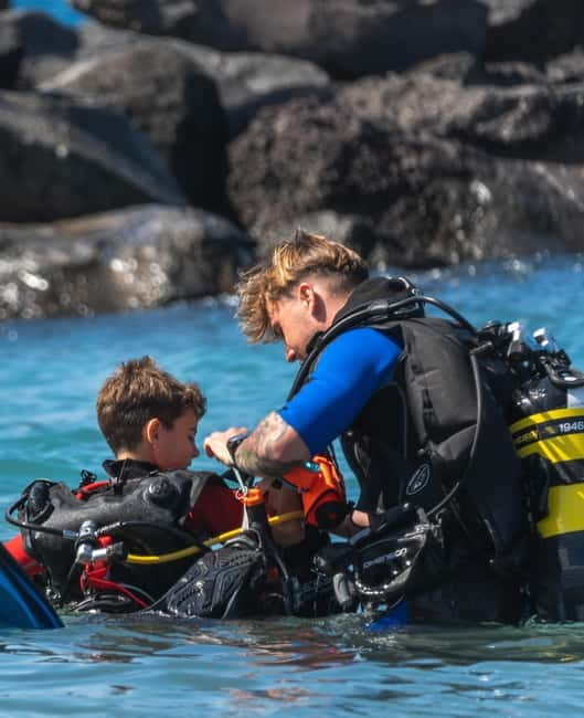 Tenerife: Scuba Dive & Fun, Discover the Magic of the Ocean - Playa Las Vistas: where the training turns into a real experience