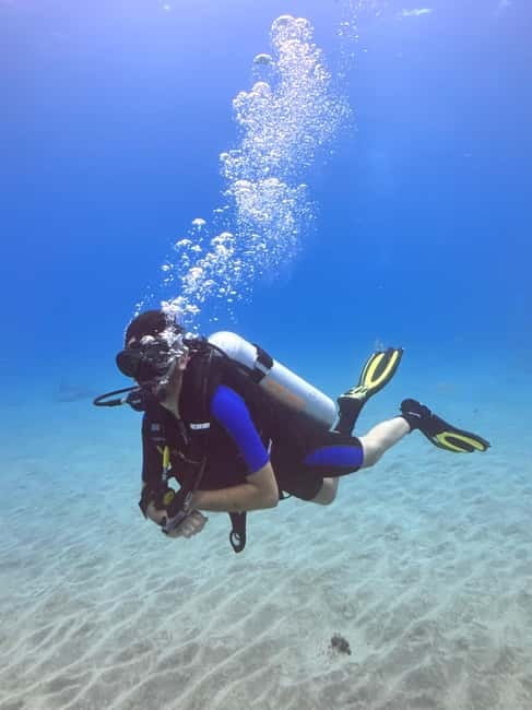 Tenerife: Scuba Dive & Fun, Discover the Magic of the Ocean - The guided open-water session: seeing marine life with safety in mind
