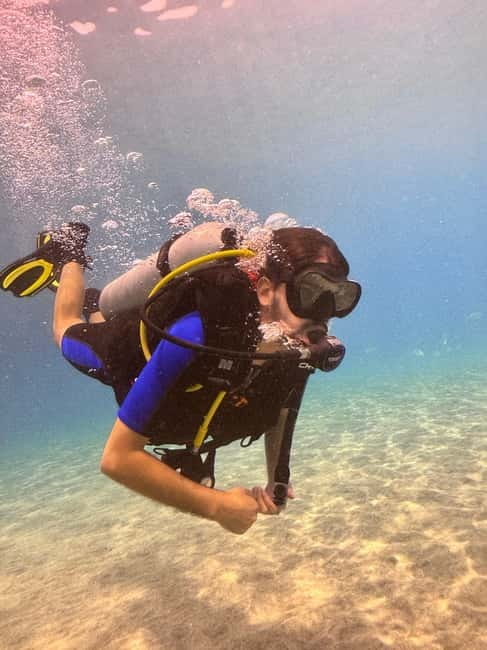 Tenerife: Scuba Dive & Fun, Discover the Magic of the Ocean - Who this experience is best for