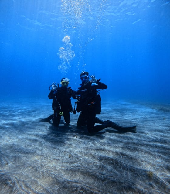 Tenerife: Scuba Diving Experience for Every Level - Price and Value: Is $98 Reasonable for a Full Gear Session?