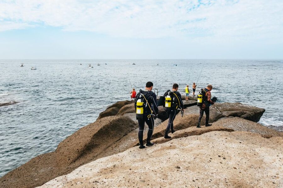 Tenerife: Scuba Diving Experience with Instructor and Gear - Key things I’d bank on before you go