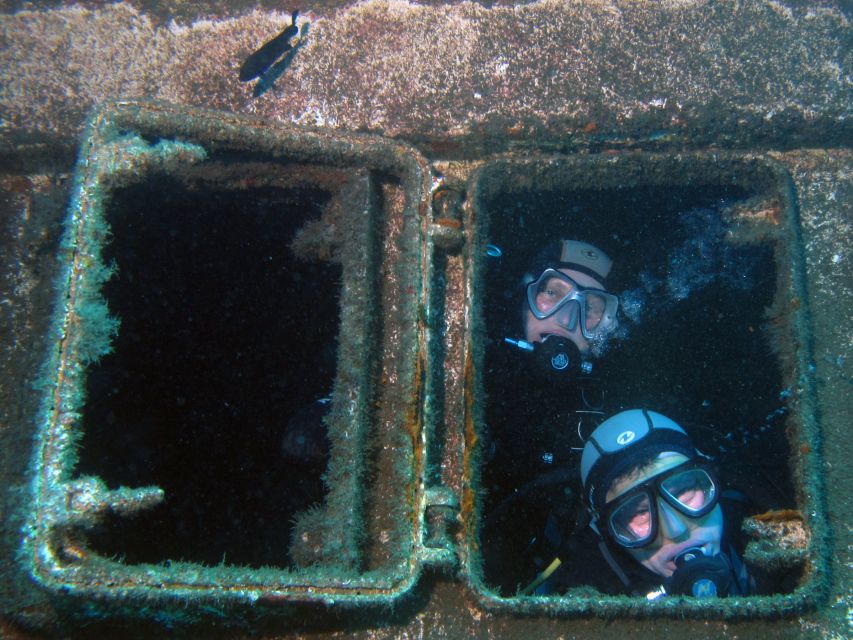 Tenerife Scuba Diving for Certified Divers - Playa Abades: shallow bay time and fish you can actually watch