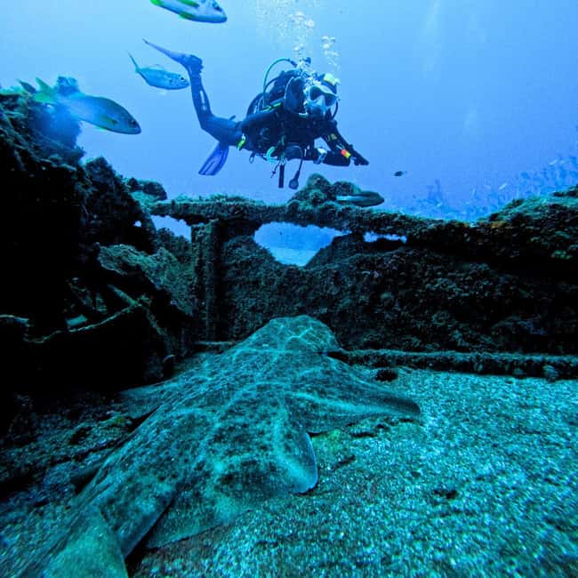 Tenerife: Scuba Diving for Certified Divers in Tenerife - Group size and languages: why the experience stays easy to manage