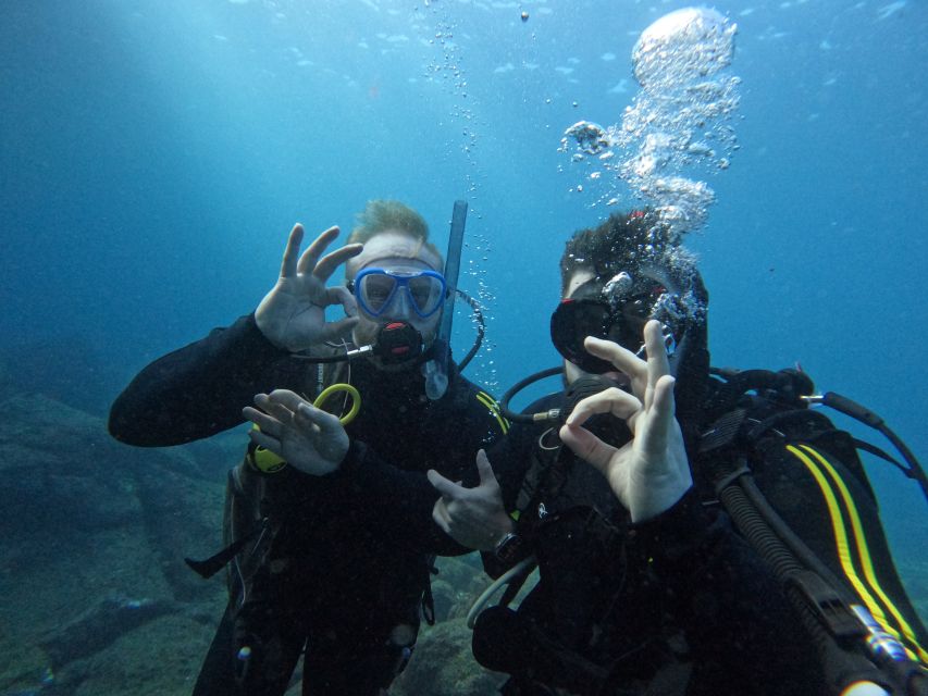 Tenerife: Scuba Diving for Certified Divers in Tenerife - Speedboat hops: the short rides that keep the day feeling efficient