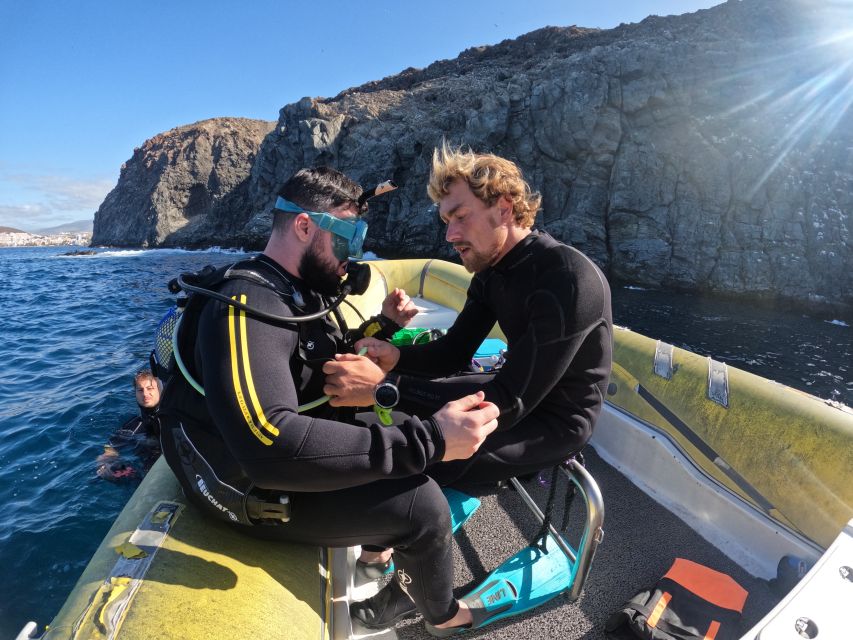 Tenerife: Scuba Diving for Certified Divers in Tenerife - Night option for Atlantic giants: what to know before you go