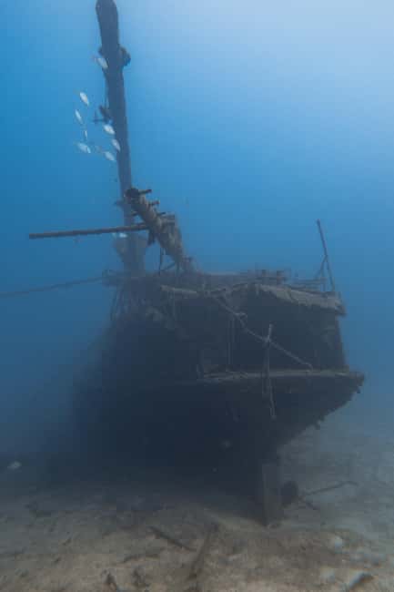 Tenerife: Scuba Diving for Certified Divers in Tenerife - Gear included, air tanks provided, and what you still need to bring