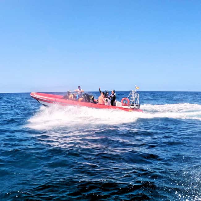 Tenerife: Scuba Diving for Certified Divers in Tenerife - Equipment comfort check: the little things that can make or break a short session