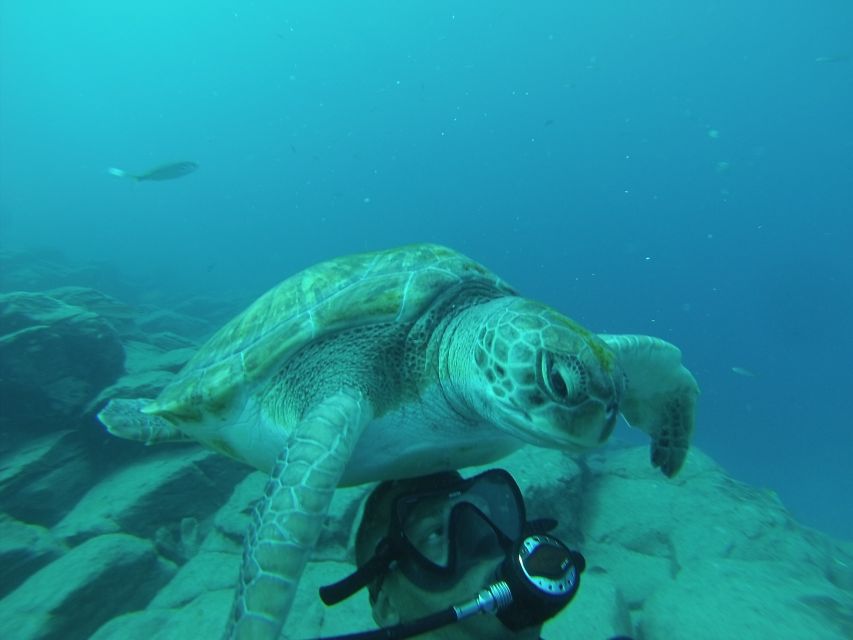 Tenerife: Scuba Diving for Certified Divers in Tenerife - The safety briefing and why it matters more than you think