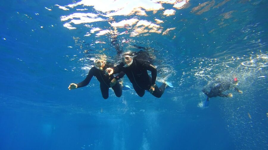 Tenerife: Snorkel with Turtles - Equipment, wetsuit sizing, and what to pack for comfort