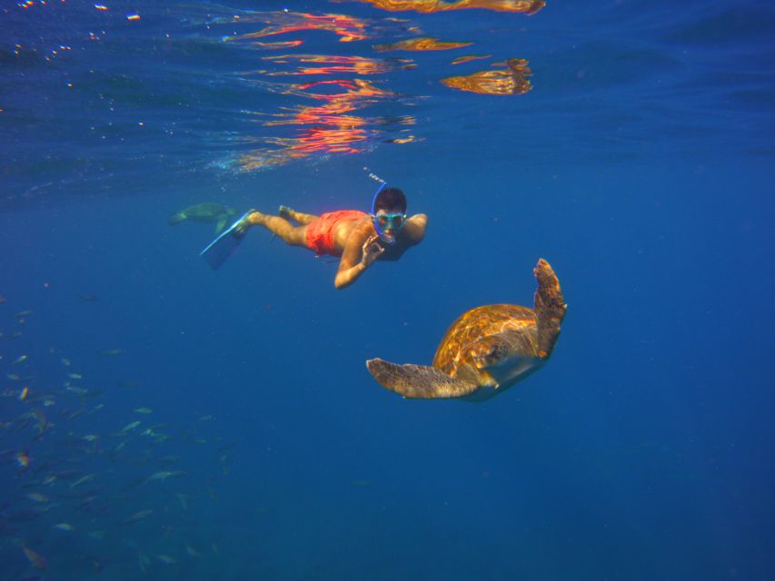 Tenerife: Snorkel with Turtles - Free photos after the tour, and the one thing not included
