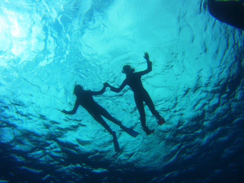 Tenerife: Snorkel with Turtles - Who should book, and who should skip it in Tenerife