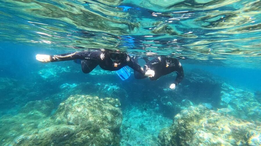 Tenerife: Snorkeling Tour in a Marine Protected Area - Snorkel Tenerife: the highlights that matter