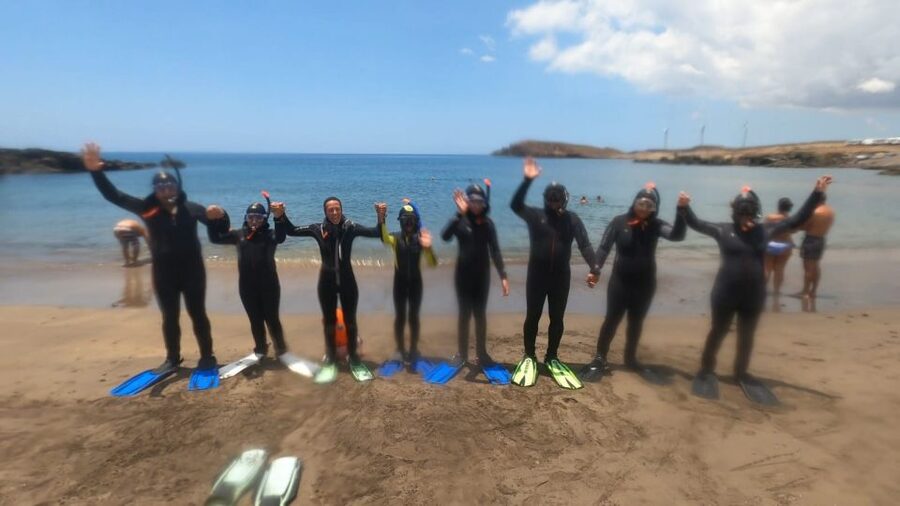 Tenerife: Snorkeling Tour in a Marine Protected Area - Who this tour fits best, and who should rethink it