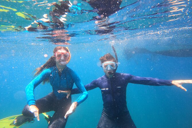 Tenerife Snorkeling Tour in turtle habitat - Who should book this, and who might want another option