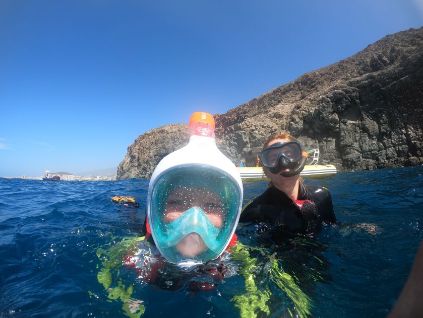 Tenerife: Snorkeling Trip in a Turtle Habitat - Key highlights to know before you go