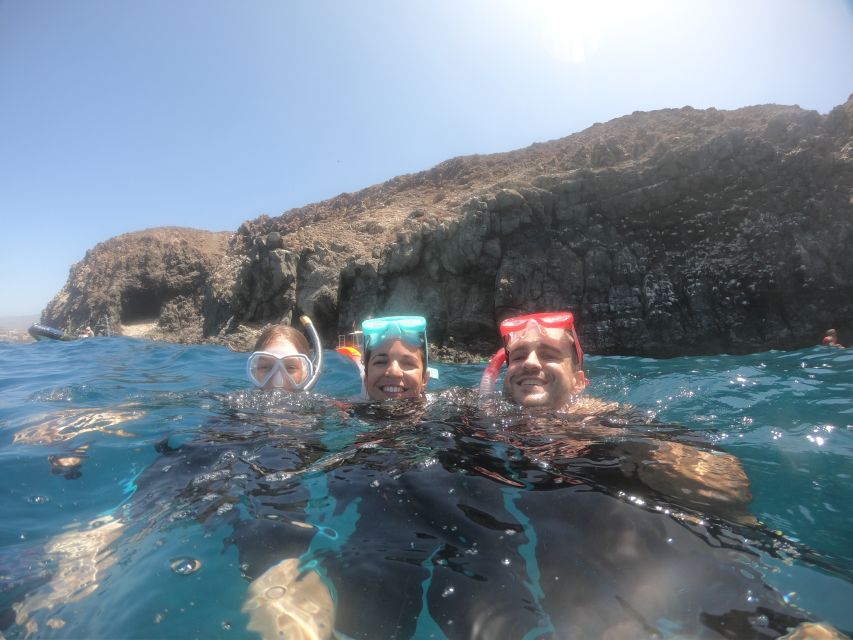 Tenerife: Snorkeling Trip in a Turtle Habitat - Speedboat Ride Along Tenerife’s Coast, and Why It Counts