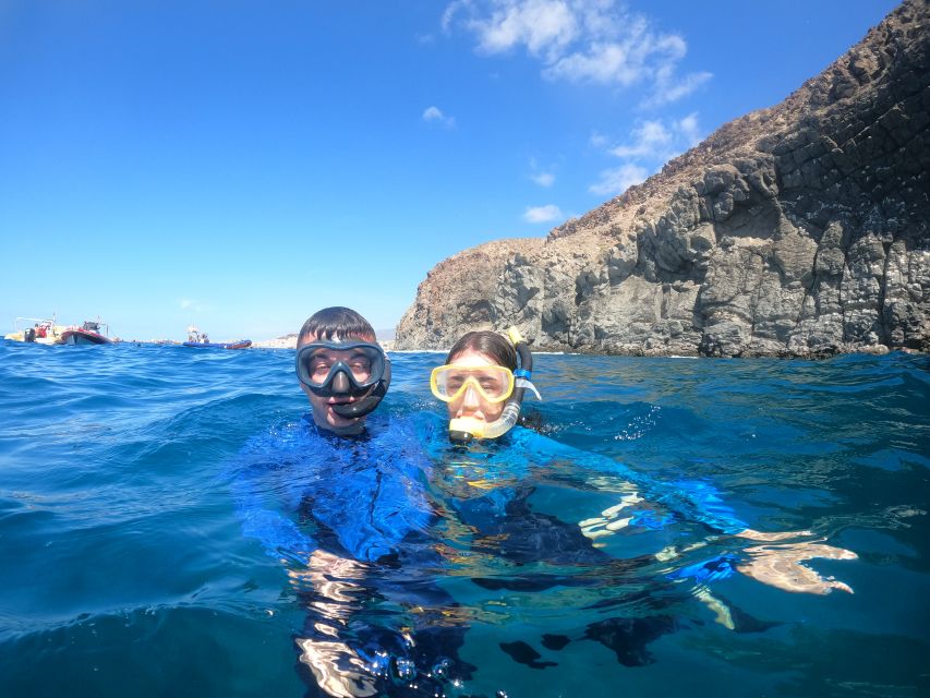 Tenerife: Snorkeling Trip in a Turtle Habitat - What Else You Can See: Rays, Fish, Dolphins, and More