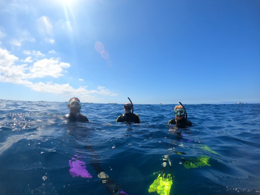 Tenerife: Snorkeling Trip in a Turtle Habitat - Guides Who Teach, Keep You Close, and Build Confidence