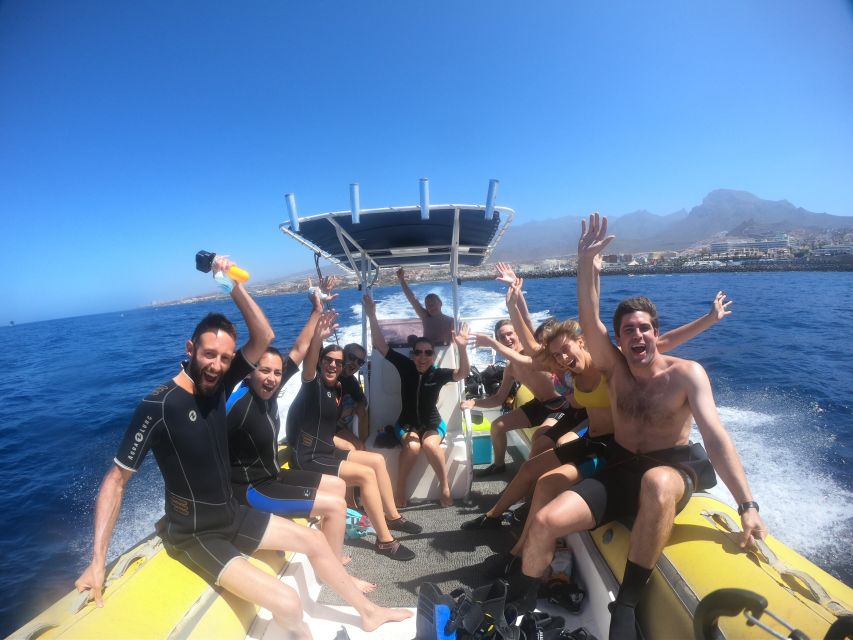 Tenerife: Snorkeling Trip in a Turtle Habitat - Family-Friendly Timing for Minors and First-Timers