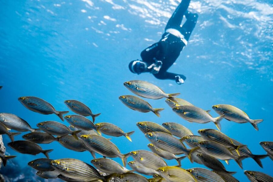 Tenerife : Snorkeling underwater with freediving Instructor - Radazul Beach, Wooden Platforms, and a Safety-First Start