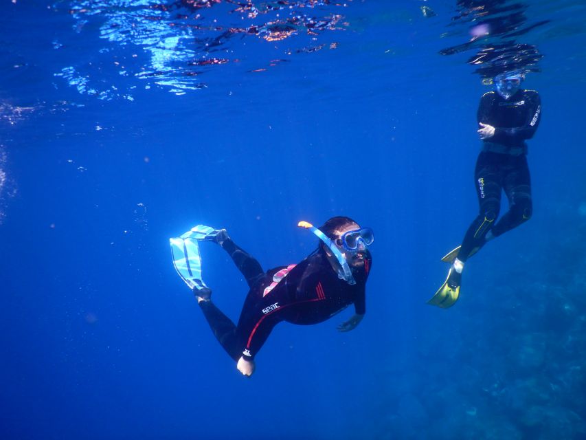 Tenerife : Snorkeling underwater with freediving Instructor - Price, Group Size, and What You Get for $52