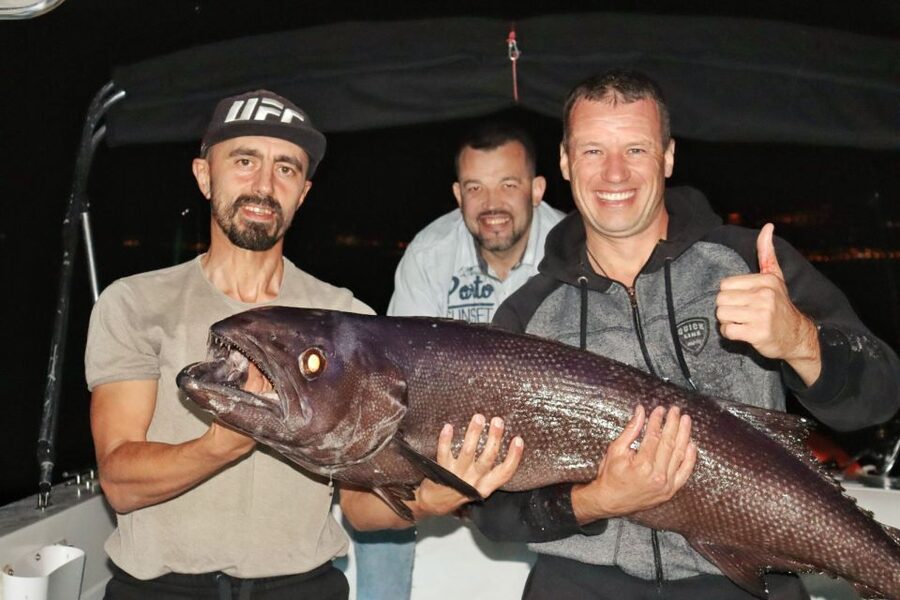Tenerife: South Island Boat-Trip and Sea Excursion - Getting There at Puerto Colon Dock Pantalan 4 (No Hotel Pickup)