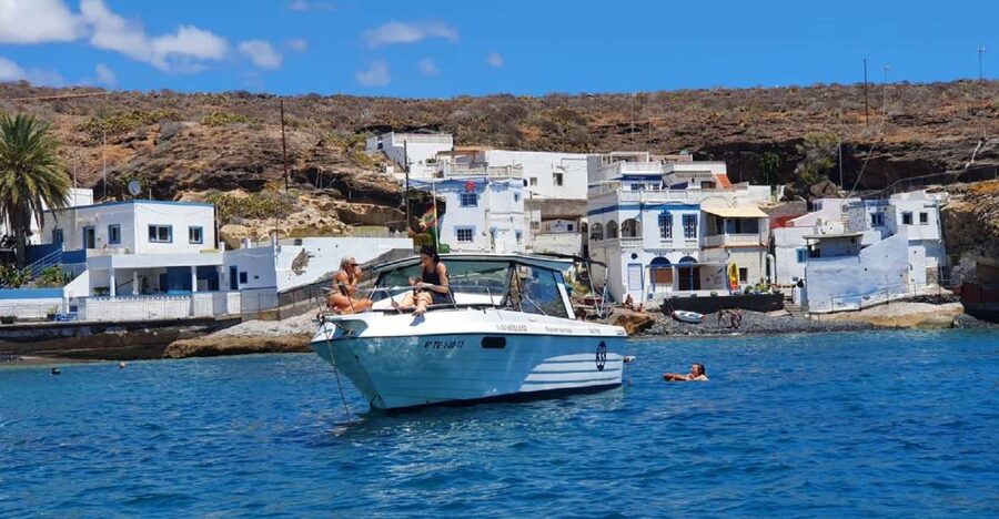 Tenerife: South Island Boat-Trip and Sea Excursion - Should You Book This South Tenerife Boat Trip?