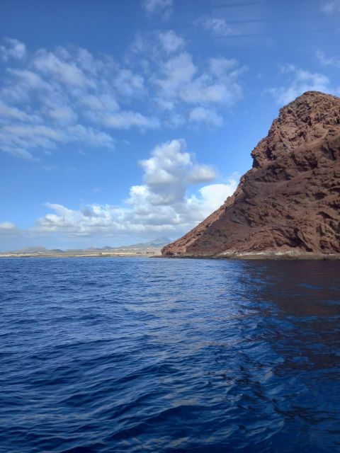 Tenerife south: safari with luxury boat , animals encounters - Practical Tips Before You Go