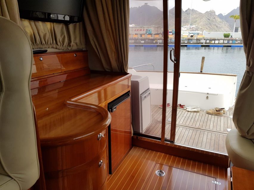 Tenerife south: safari with luxury boat , animals encounters - Crew And Guide: Clear Rules, Friendly Energy, A Few Fun Extras
