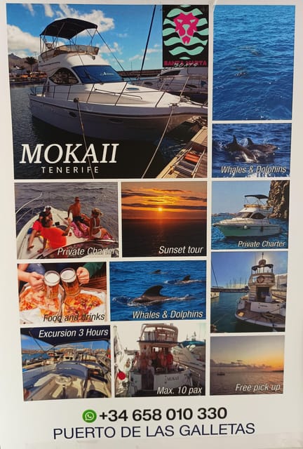 Tenerife south: safari with luxury boat , animals encounters - Inside The Two-Story Luxury Boat: Where To Hang Out