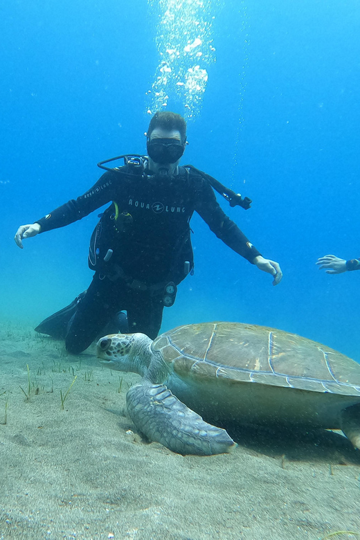 Tenerife south: Scuba Dive for beginners in Adeje - Adeje, Tenerife: why the Atlantic is a great place to start