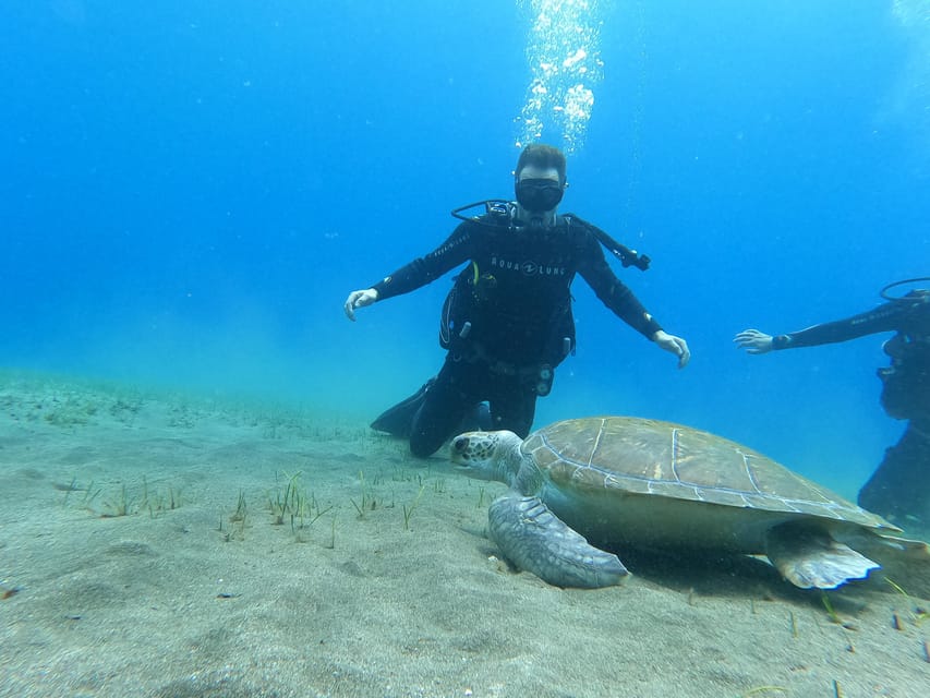 Tenerife south: Scuba Dive for beginners in Adeje - How beginner training keeps you comfortable (and not confused)