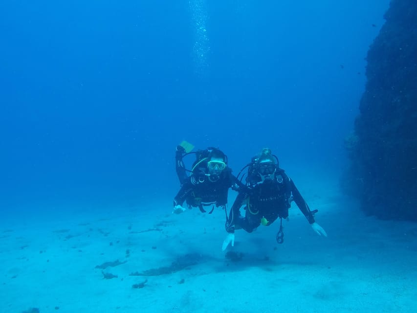 Tenerife south: Scuba Dive for beginners in Adeje - Price and value: is $100 fair for what you get?