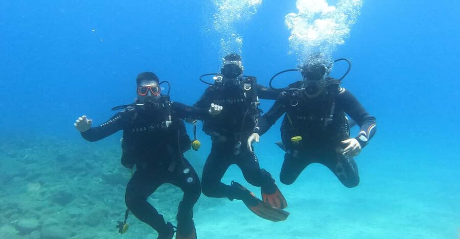 Tenerife south: Scuba Dive for beginners in Adeje - The half-day schedule, from coffee paperwork to your time underwater