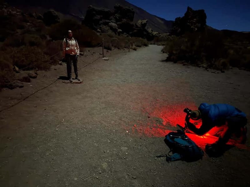 Tenerife: Stargazing Walk in Teide National Park - Teide National Park at 2,000 meters: Why the night sky feels close