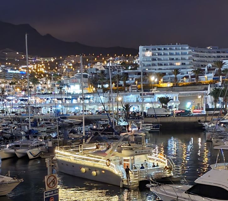 Tenerife: Sunset Catamaran Tour with Transfer, Buff & Drinks - Who should book this Tenerife sunset catamaran, and who shouldn’t