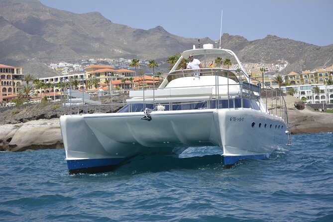 Tenerife Sunset Catamaran tour with transfer - Food and Drinks included. - Onboard comfort: Wi-Fi, drinks on the move, and staying warm