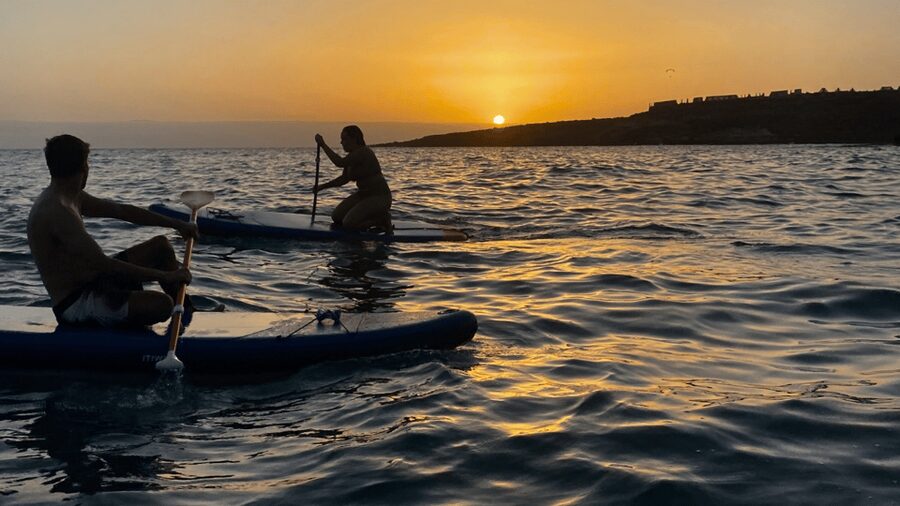 Tenerife: Sunset Stand-Up Paddleboarding Tour - Key points at a glance