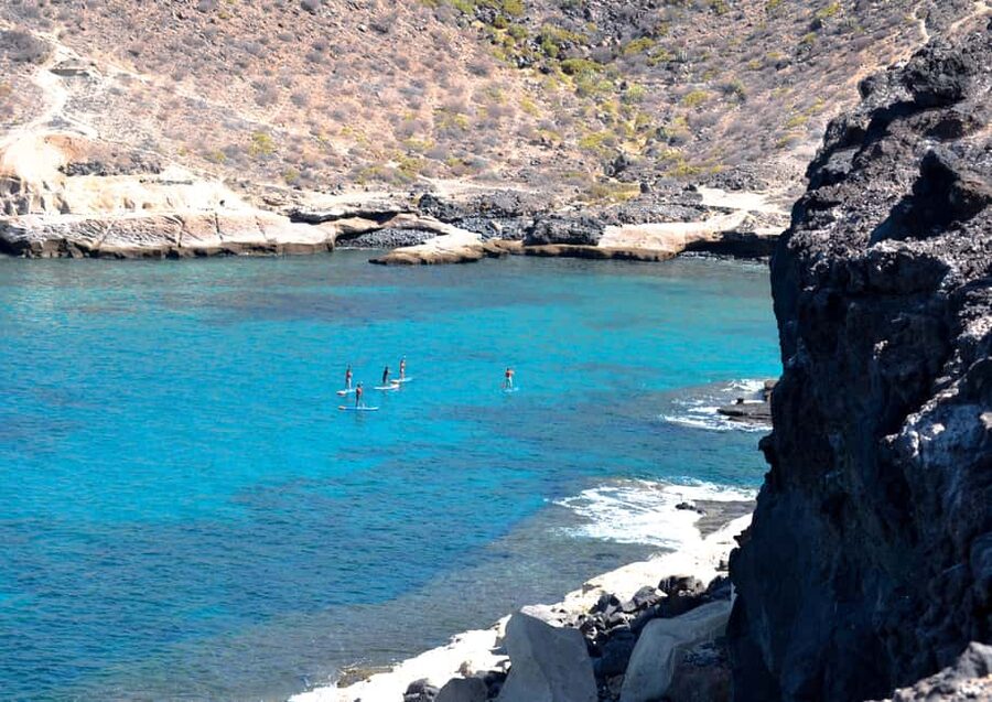 TENERIFE SUR: Paddleboarding tour and SNORKEL - Tenerife South SUP and snorkel, what you are really buying for $42