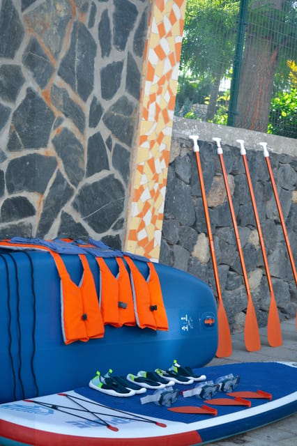 TENERIFE SUR: Paddleboarding tour and SNORKEL - Who should book this SUP and snorkel tour