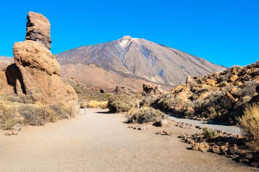 Tenerife: Teide and Las Cañadas Half-Day Tour - Pine Forests in Teide National Park: Where the Air Feels Different