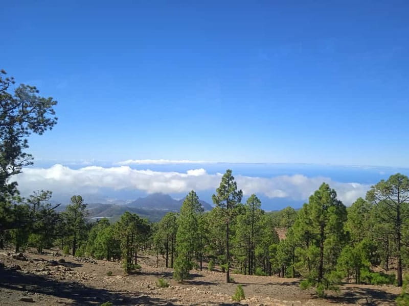 Tenerife: Teide, Icod de los Vinos & Garachico Full Day Tour - Timing, pacing, and the most common “I wish I had” moments