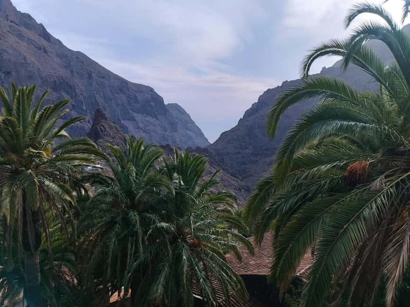 Tenerife: Teide, Masca, Garachico, and Sunset Exclusive Tour - Should you book this Tenerife Teide, Masca, Garachico and sunset tour?