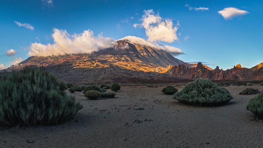 Tenerife: Teide National Park and Dolphins Sailboat Tour - Why this Teide and Dolphins combo works on Tenerife