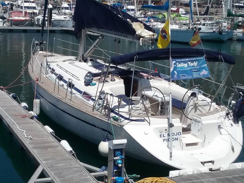 Tenerife: Teide National Park and Dolphins Sailboat Tour - Price and value: what $218 buys you, and what to budget