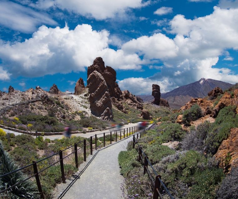 Tenerife: Teide National Park and Dolphins Sailboat Tour - What to bring so the day feels easy