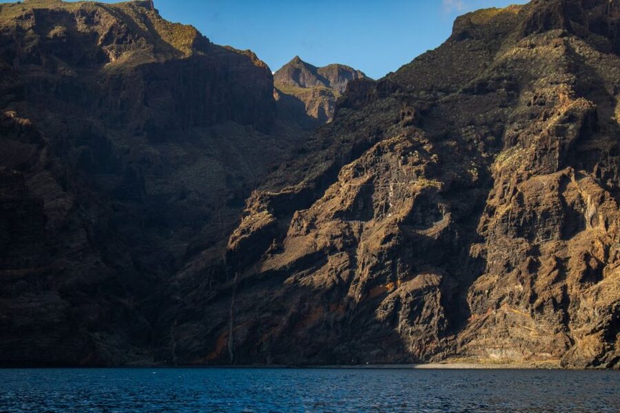 Tenerife: Teide National Park and Dolphins Sailboat Tour - The day flow, from hotel pickup to afternoon drop-off