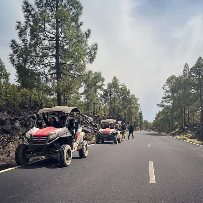 Tenerife: Teide National Park and Volcano Buggy Tour - Pickup Points and Where to Meet Without Stress