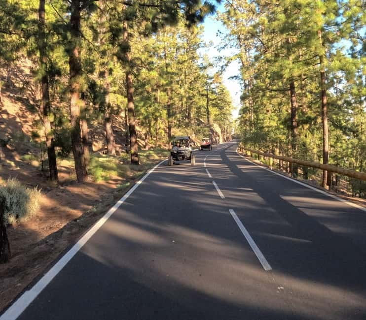 Tenerife: Teide National Park and Volcano Buggy Tour - Photos and Video: What’s Included, What’s Not, and How to Get Your Money’s Worth