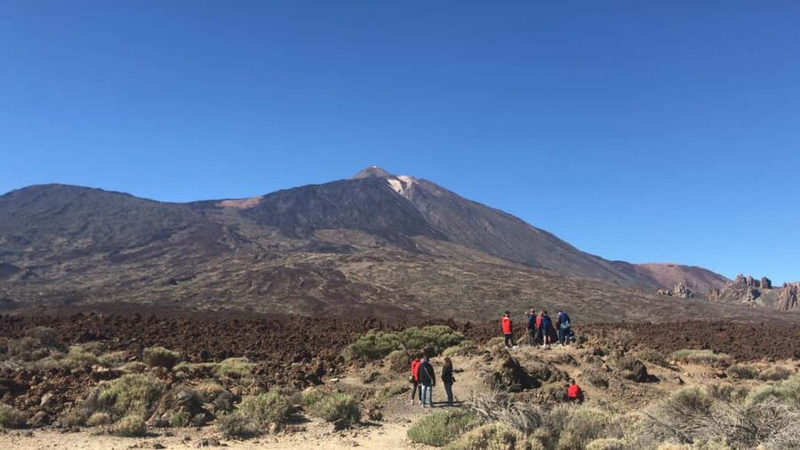 Tenerife: Teide National Park Buggy Tour with Hotel Transfer - The Return Ride: Scenic Roads, Crops, and a Cheese and Wine Finish
